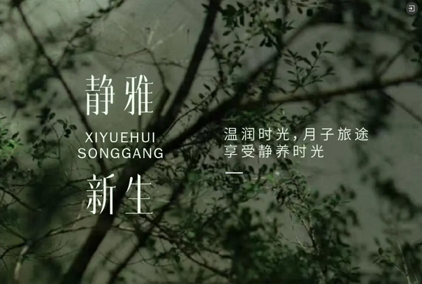 禧月薈深圳松崗_第8家月子中心火熱預售5.png