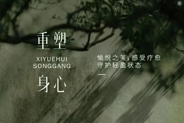 禧月薈深圳松崗_第8家月子中心火熱預售9.png