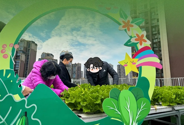 成都月子中心農場主|共享菜地，開啟有機坐月子生活2