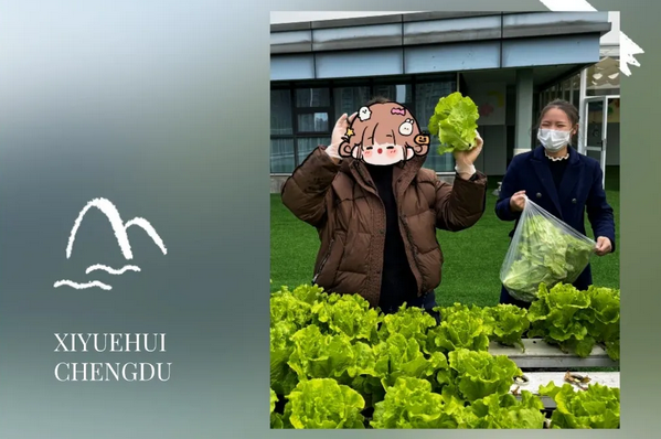 成都月子中心農場主|共享菜地，開啟有機坐月子生活3