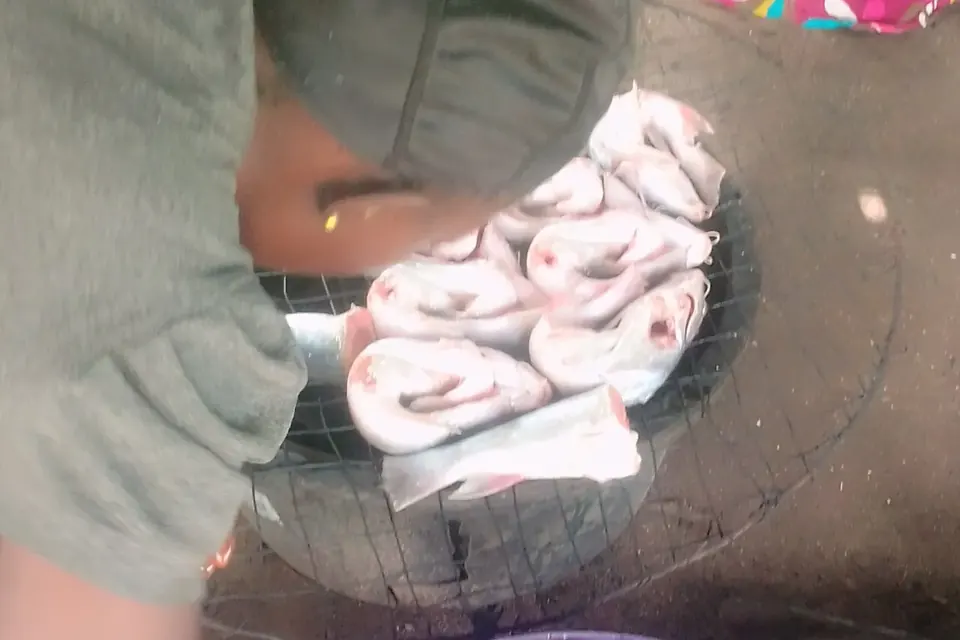 Une femme dispose des poissons sur une grille de fumage posée au-dessus d'un foyer